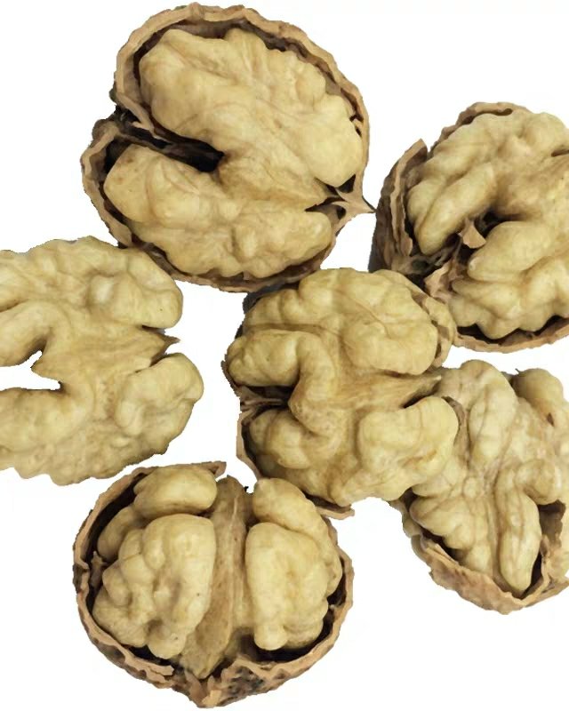 泡核桃  新货麻子果大果
