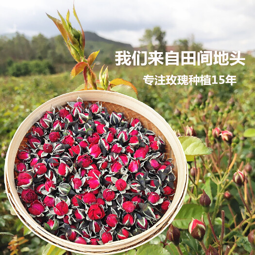 亳州玫瑰花茶  金边玫瑰 云南无硫金边玫瑰颜色亮丽新货 量大价优
