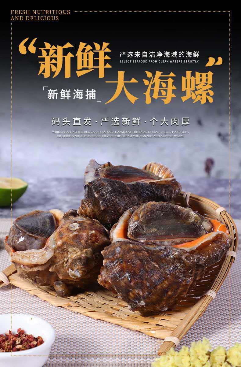 【鲜活海螺】新鲜海捕海螺，海鲜贝类，鲜活海螺海产品水产品