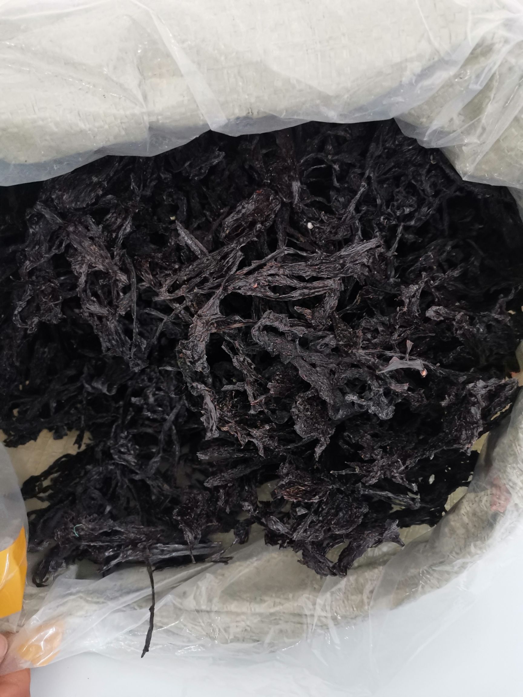 烟台紫菜 长岛正宗天然紫菜 自然晒干产地直供包邮