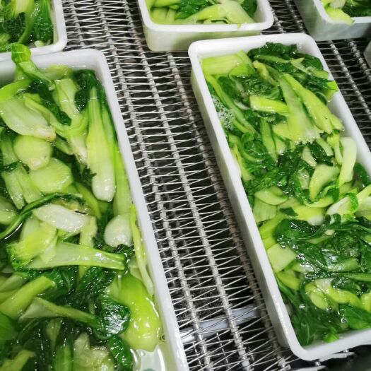 西平县速冻荠菜  速冻上海青和荠菜