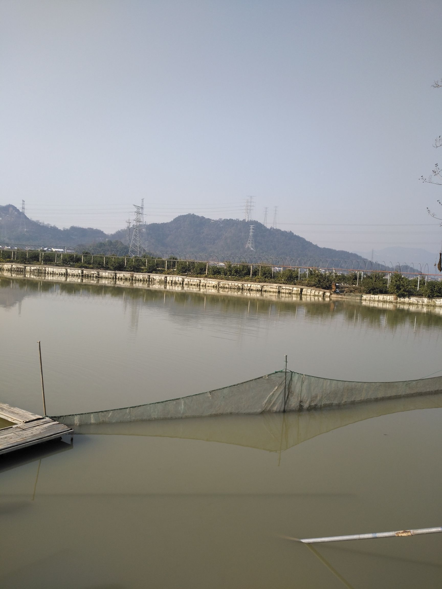 海鲈鱼  七星鲈鱼，鳊鱼，白条，包头