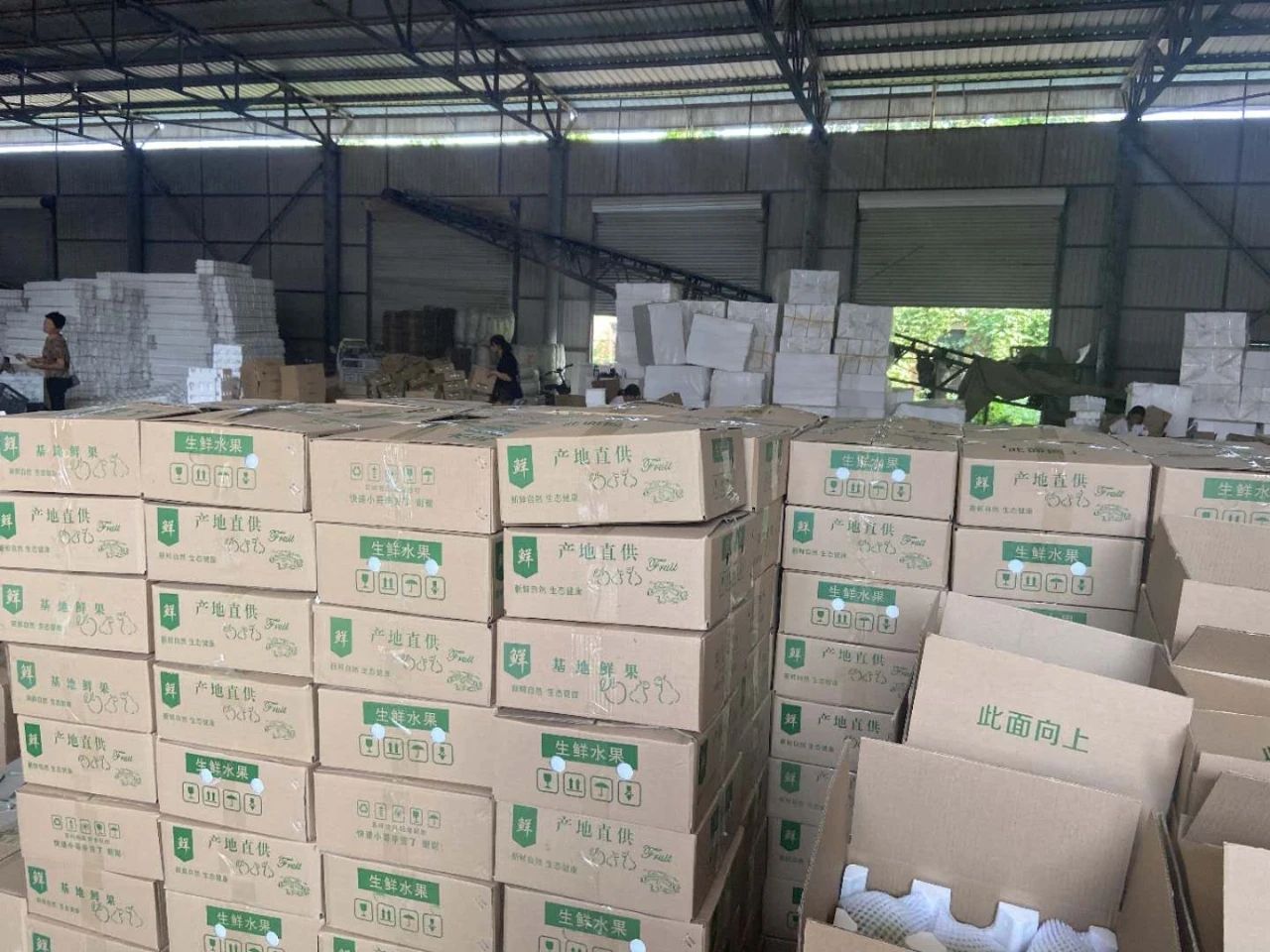 河北魏县鸭梨膜袋鸭梨，冷库膜袋鸭梨魏县老红梨大量供应，