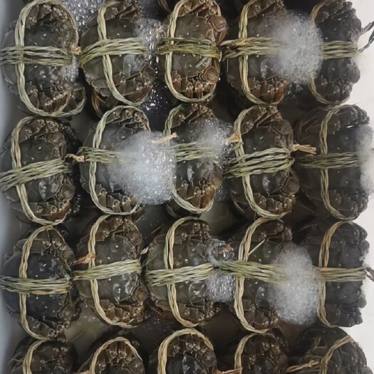 阳澄湖镇镇大闸蟹  兴化蟹阳澄湖镇大闸蟹6公6母7公7母