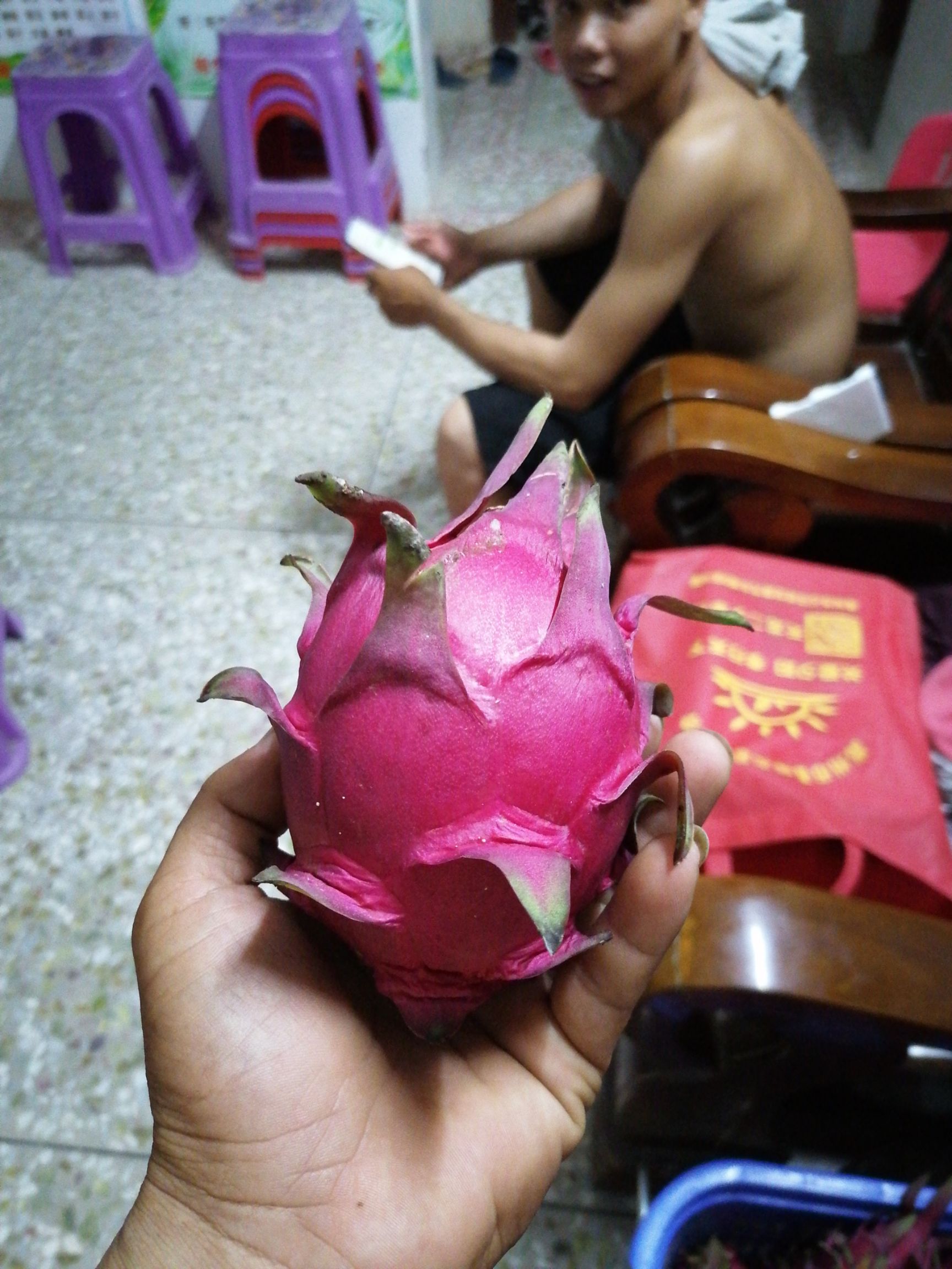 金都一号火龙果 