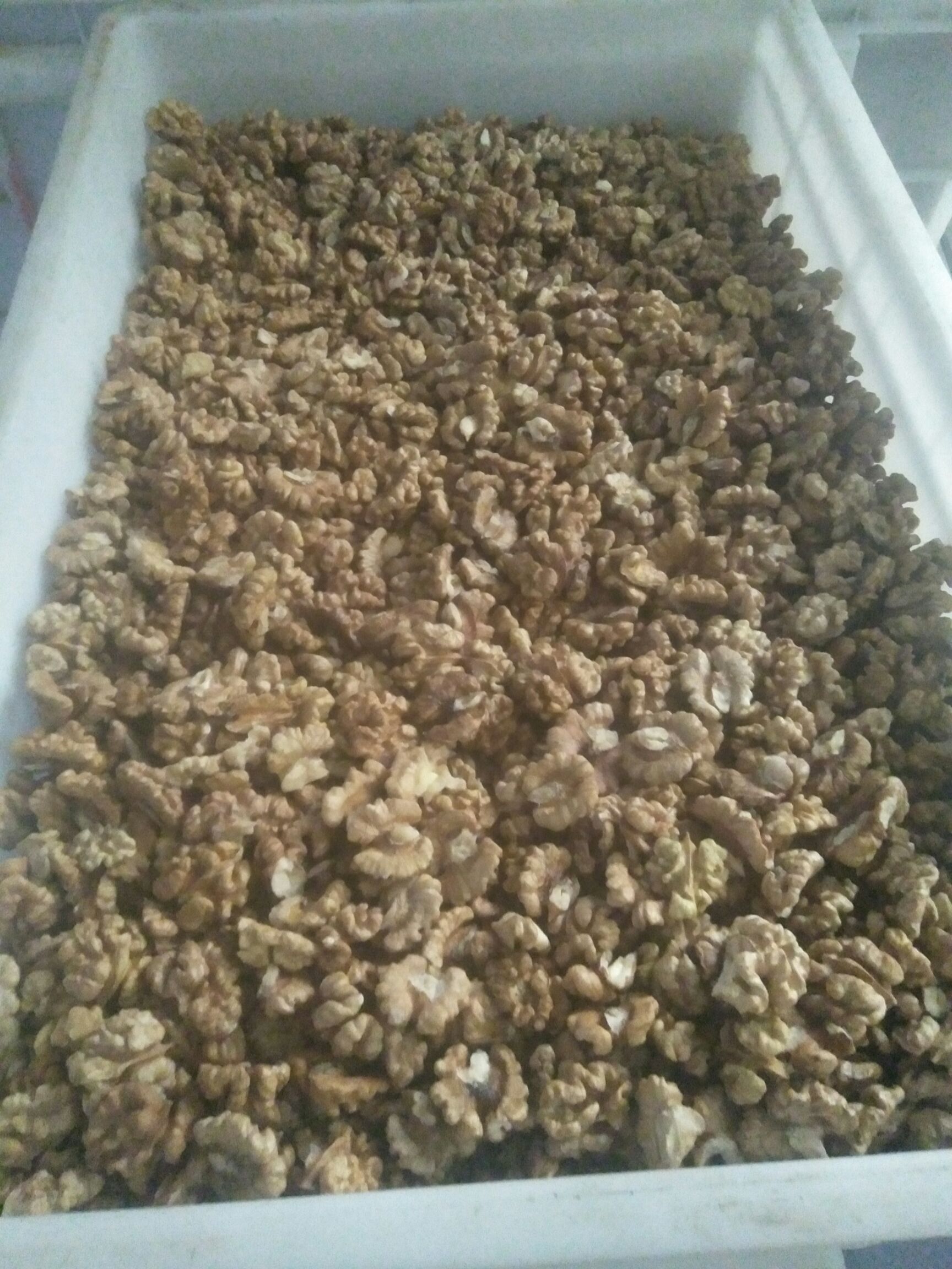 汾阳核桃 35mm以上 箱装 6-12个月