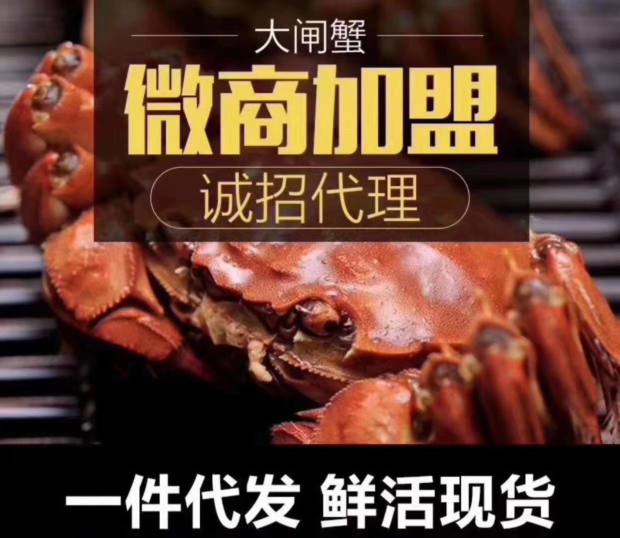 兴化大闸蟹  江苏省兴化市大闸蟹