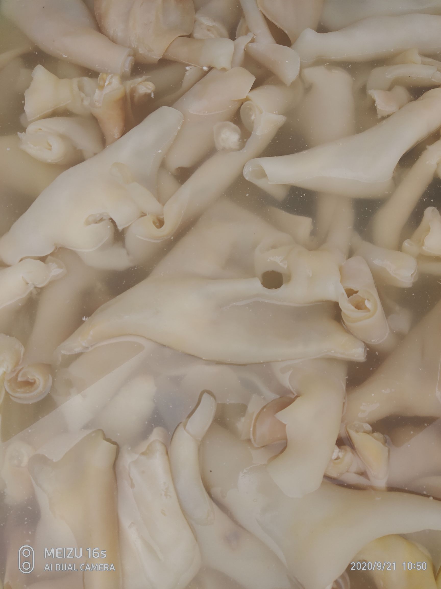 【亏本充量】带角牛蹄皮！酱香牛蹄皮～ 一手货源 质量保证！