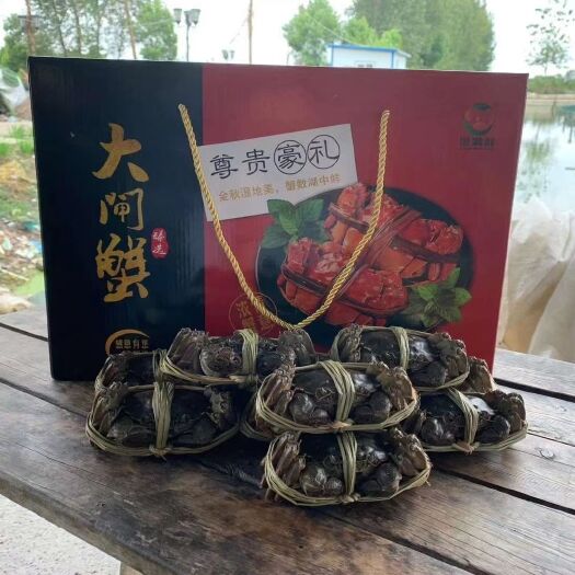 兴化市兴化大闸蟹  江苏省兴化市大闸蟹