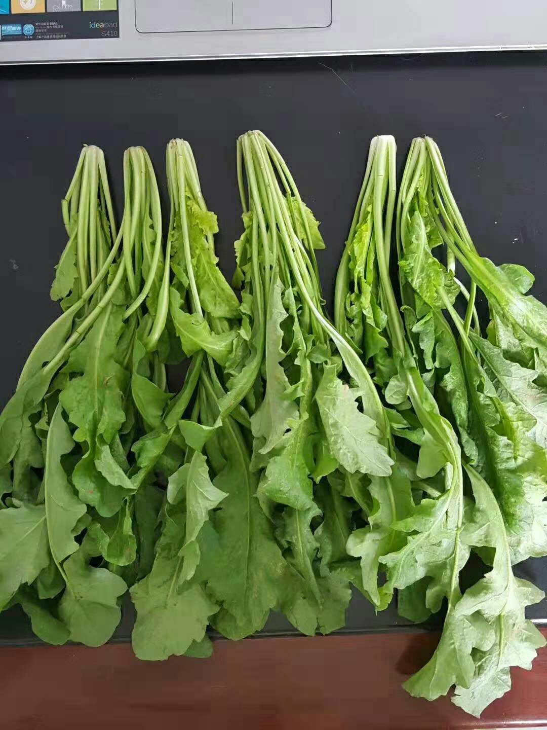 速冻荠菜  速冻上海青和荠菜