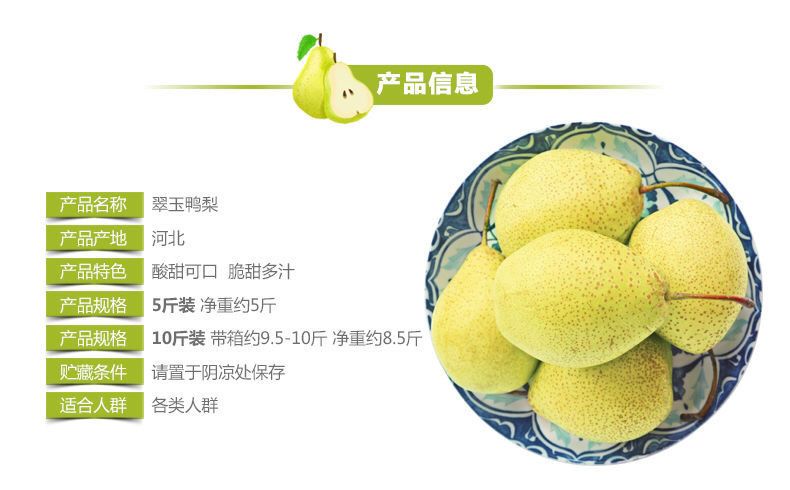 魏县鸭梨大量上市，一件代发，走电商，整车代发快递日供应一万件