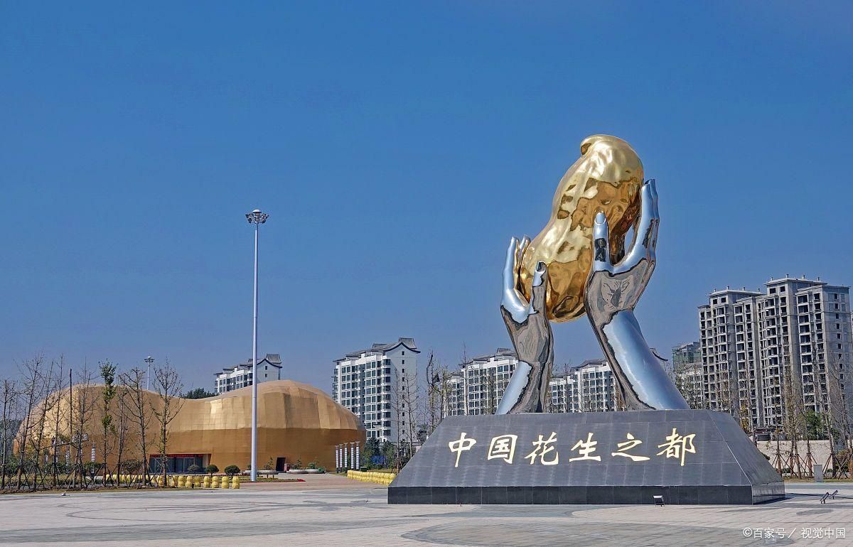 鲜花生  正阳白沙花生