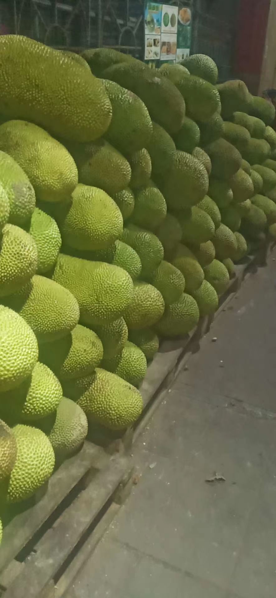 海南三亚菠萝蜜干包黄肉新鲜水果菠萝蜜15-30斤精选饱满通货