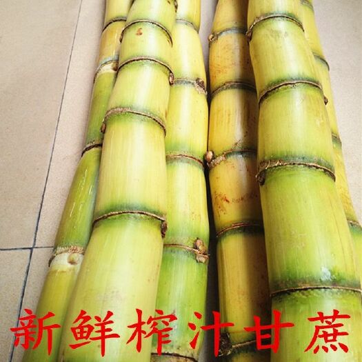 崇阳县青皮甘蔗绿皮甘蔗黄皮甘蔗非紫皮甘蔗陶山甘蔗整箱批发新鲜水果