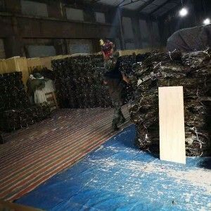 山东海带 长岛大宽海带干货 无沙日晒厚海带无边无尾90标准出口品