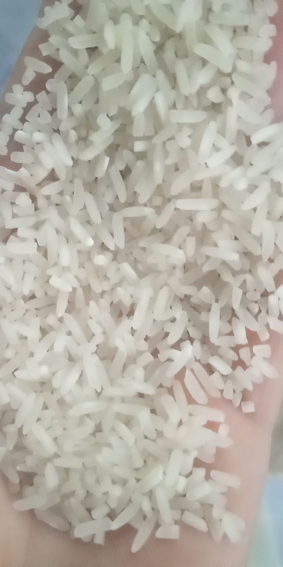 出售大米，川优6203，晶两优534，珍珠米，