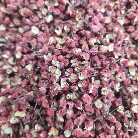 积石山县临夏花椒 一级 干花椒 