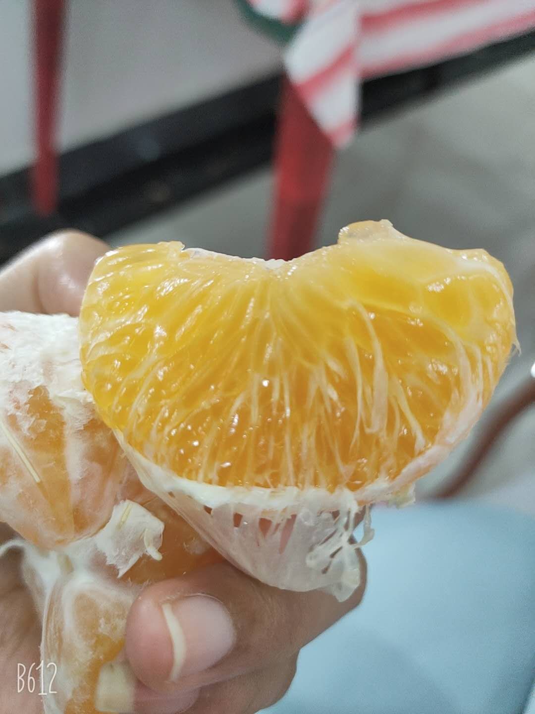 蜜桔 果肉饱满，味道甘甜，皮薄，大小均匀 。