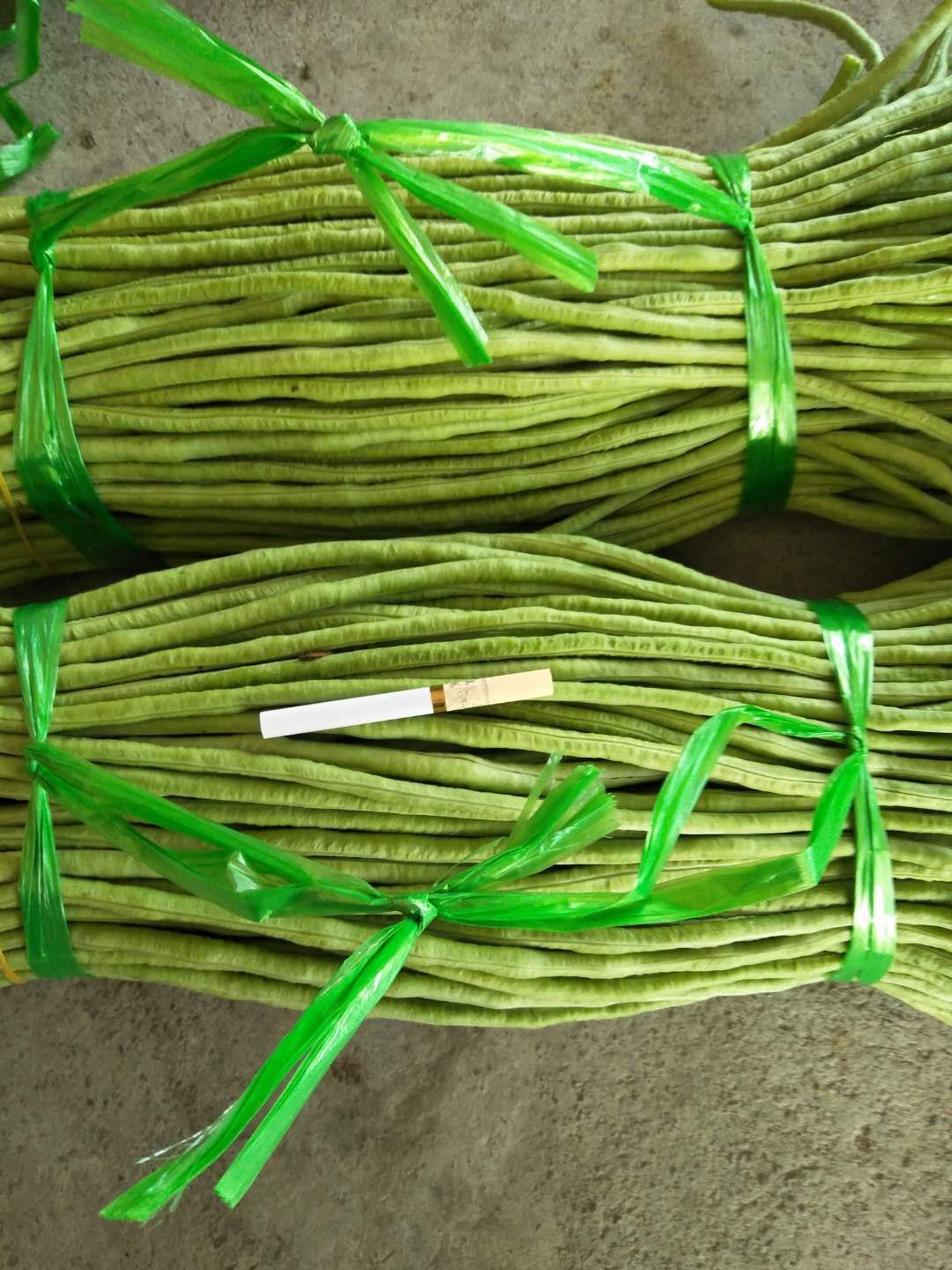 长豇豆  长期供应长豆角，一年四季都有货