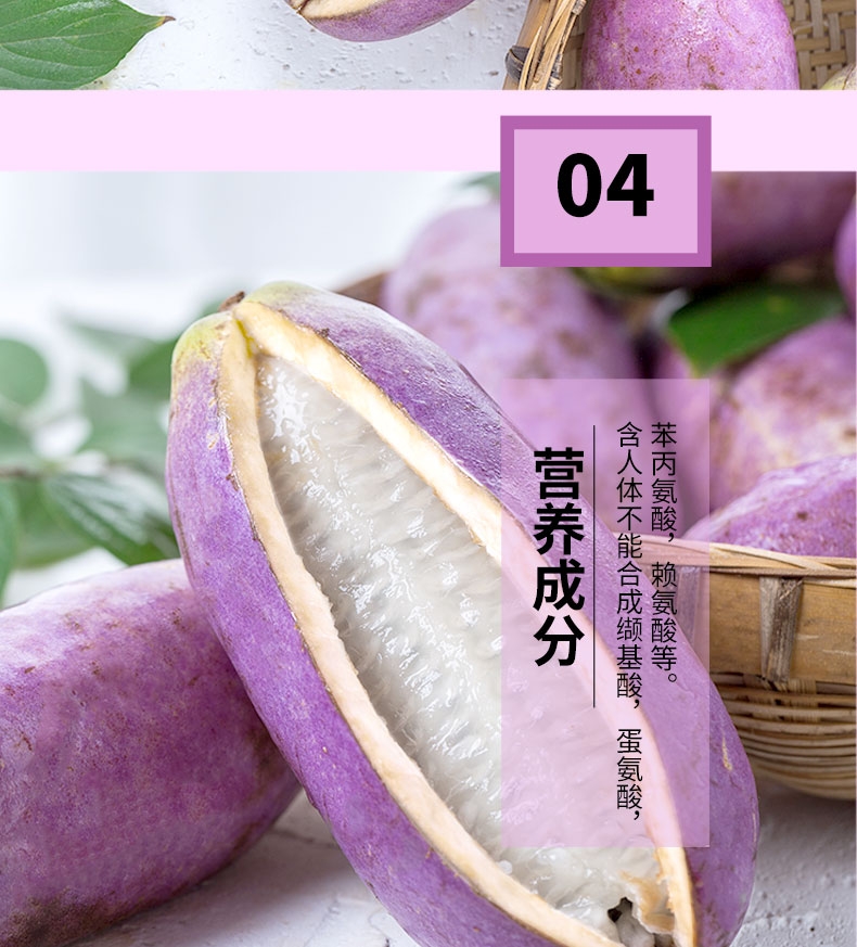 野生八月瓜 湖南省怀化市芷江侗族自治县 种植 紫色 