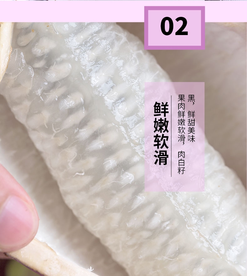 野生八月瓜 湖南省怀化市芷江侗族自治县 种植 紫色 
