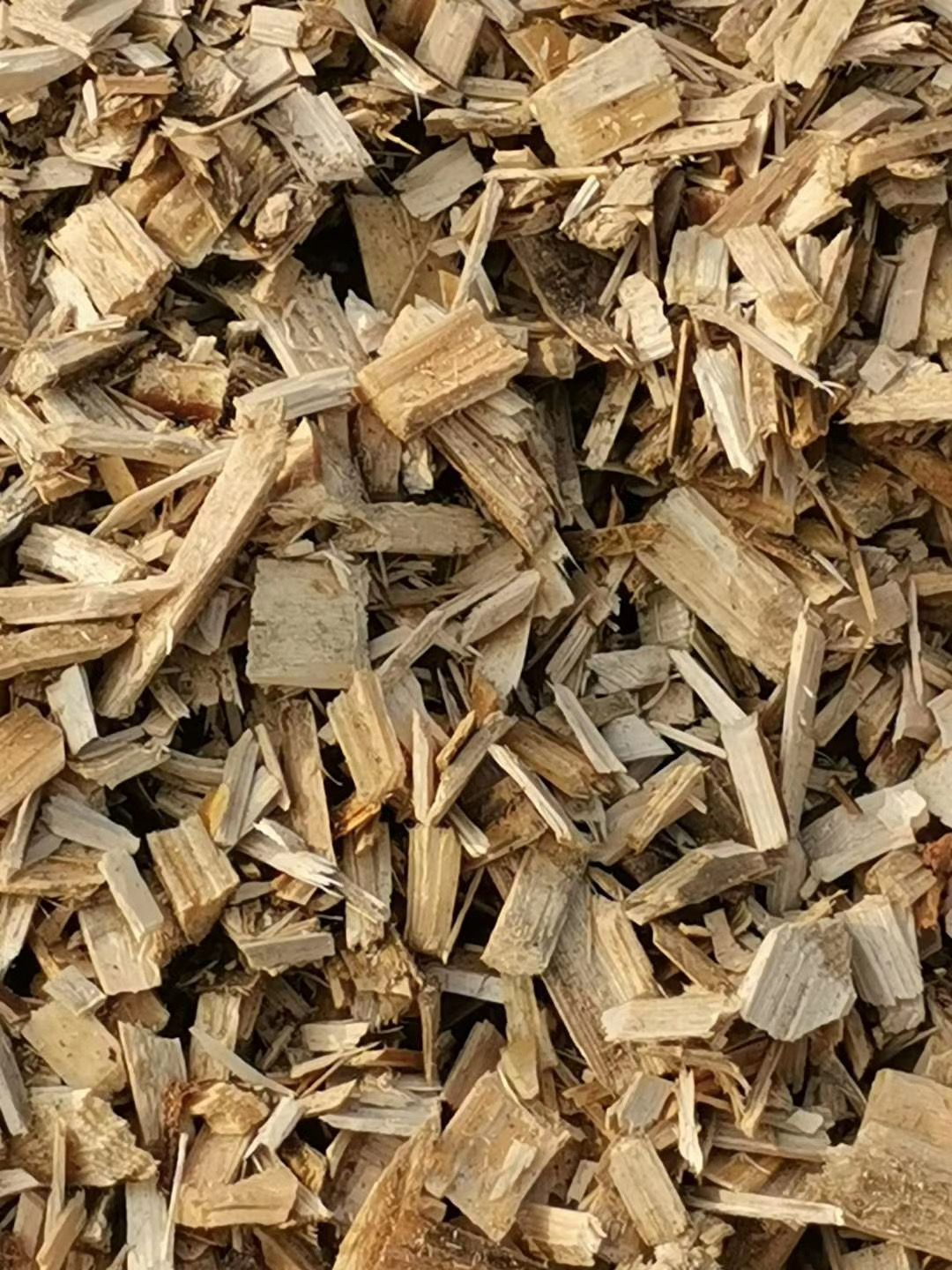 山地油松  木片