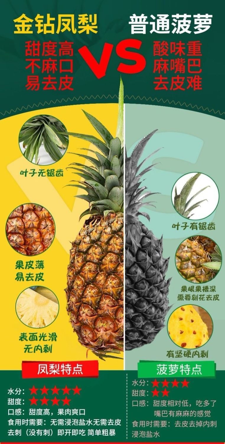 【甜汁】金钻凤梨新鲜水果手撕无眼凤梨菠萝应季水果包邮