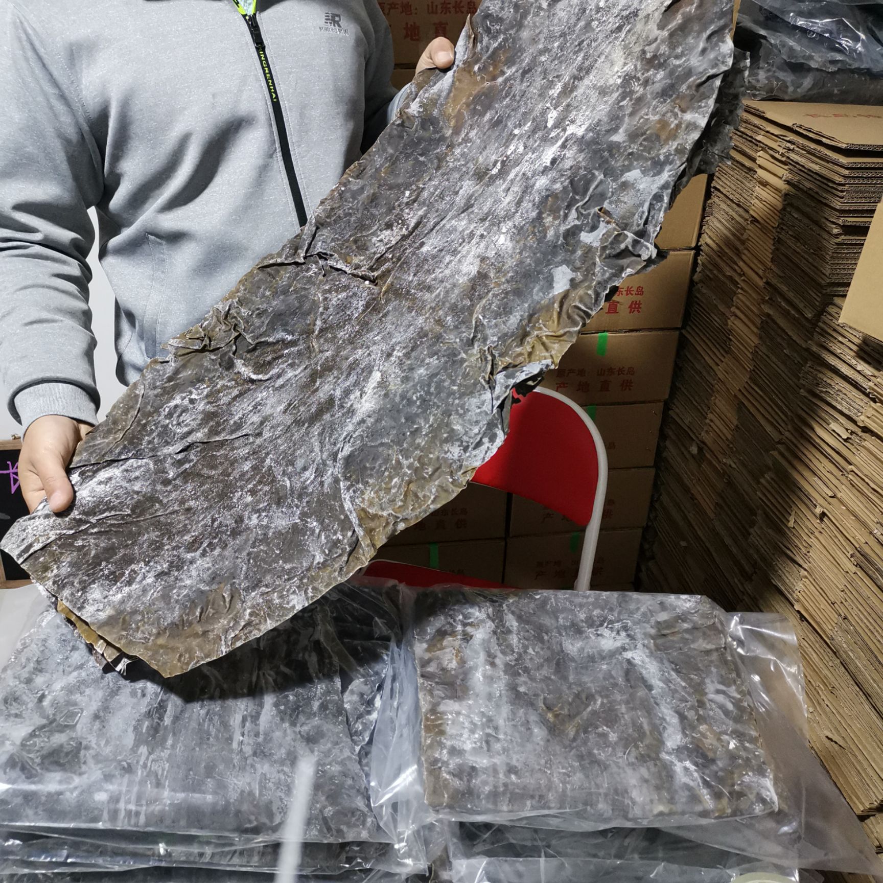 山东海带 长岛出口精品干海带 整箱批发包邮