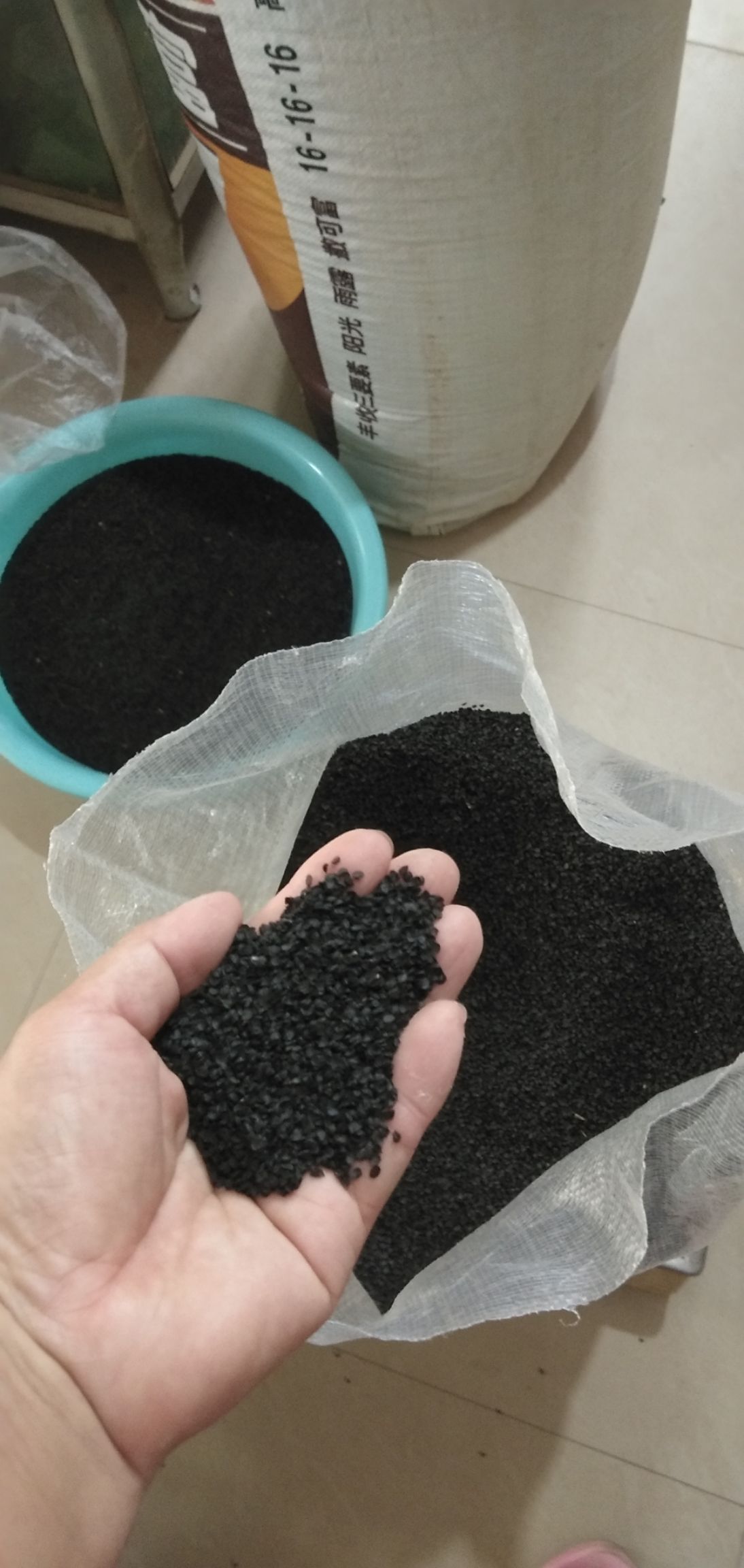 香葱种子 优质铁杆葱种，发芽率高