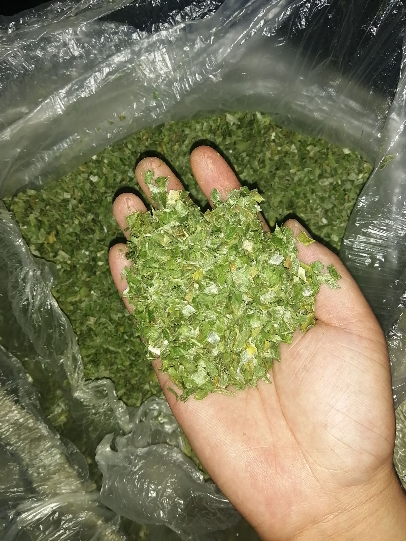 日本小葱 烘干小香葱，青叶，打粉货