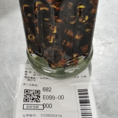 田林县毒马蜂泡酒