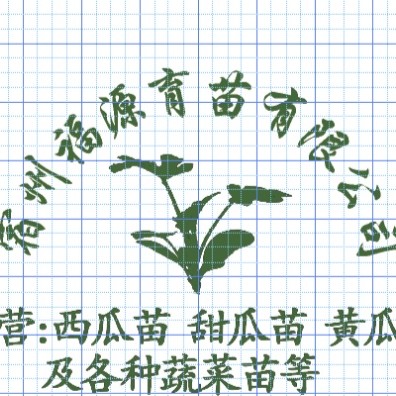 松花菜苗  花菜苗（菜花，花椰菜苗）根系发达易成活抗病力强