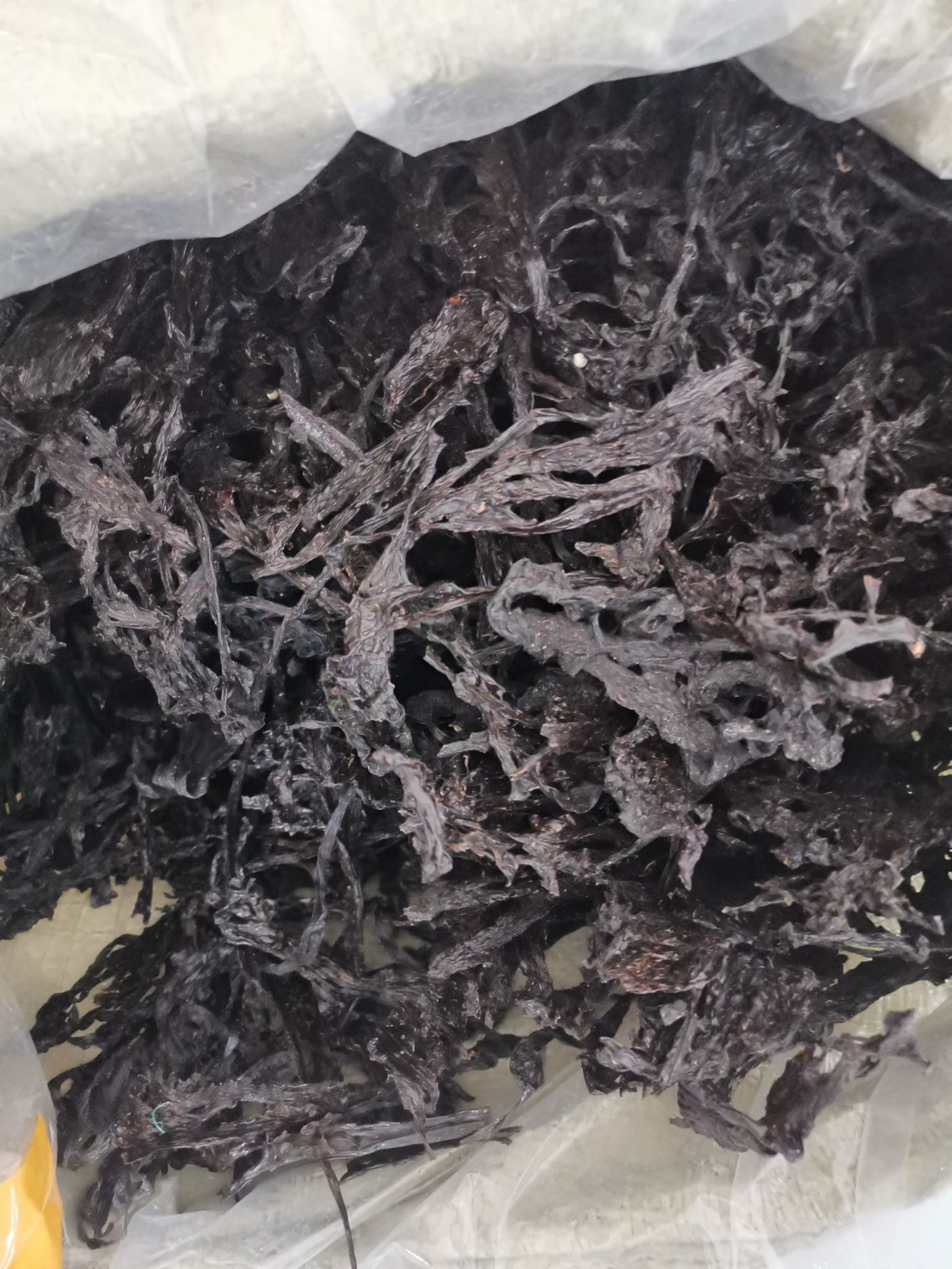 烟台紫菜 长岛正宗天然紫菜 自然晒干产地直供包邮