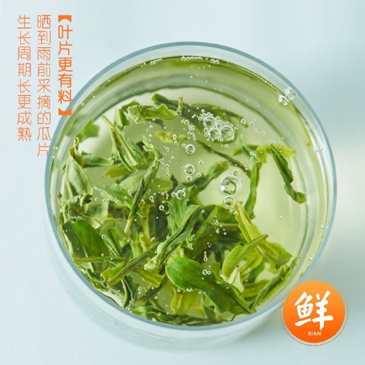 六安六安瓜片 1-2年 