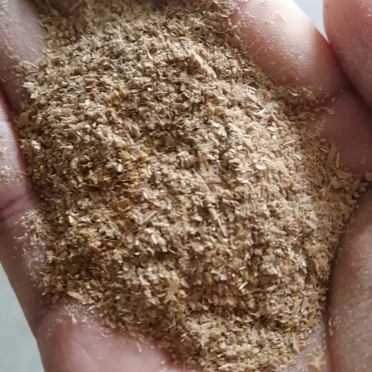 贵港油糠  有大量新鲜米糠谷糠供应、不含运费。
