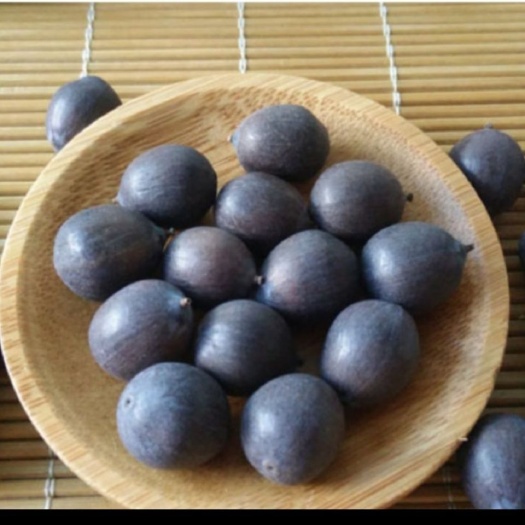 祁阳市老莲子干莲子湖南湘莲自然成熟铁莲子三寸莲子自然成熟干货种子
