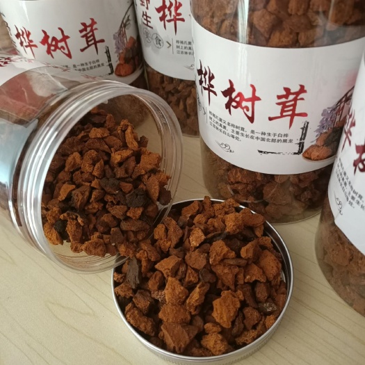 抚松县白桦茸  长白山桦树茸