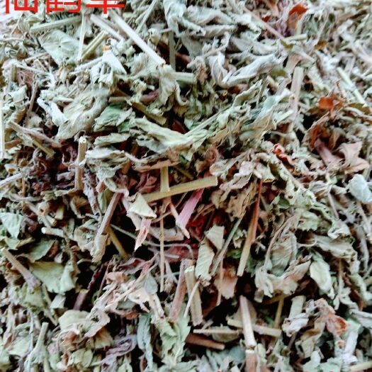 仙鹤草  新货 颜色绿 量大从优