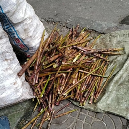 邛崃市八月笋  ，黑笋限量抢购煮熟真空发货。