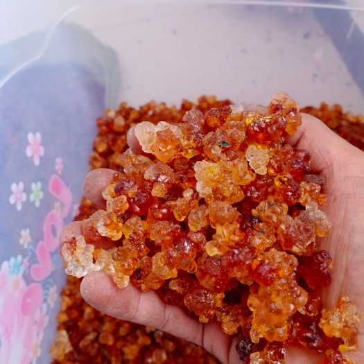 六安食用桃胶  黄红桃胶