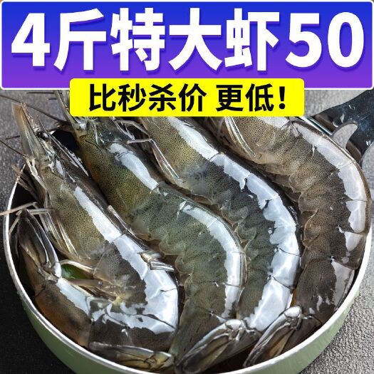 南宁明虾  虾子大虾鲜活新鲜虾一箱大虾超大斤基围虾青岛虾海虾活虾海鲜批发