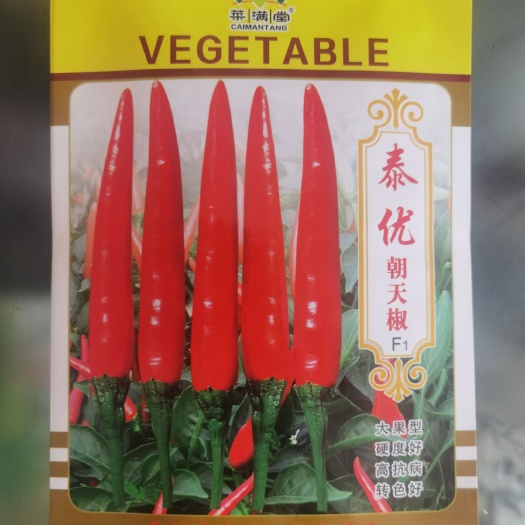 三亚朝天椒种子 泰红品种 新一代比上一代朝天椒更大个 果更硬颜色更漂亮