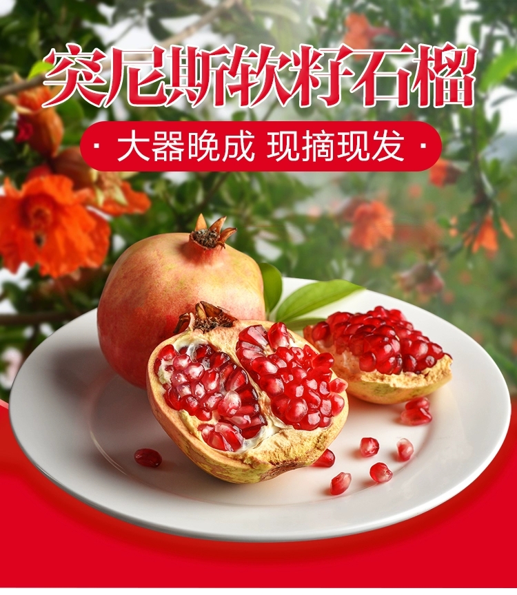 河阴软籽石榴基地大量上市质优价低批发零售河阴石榴