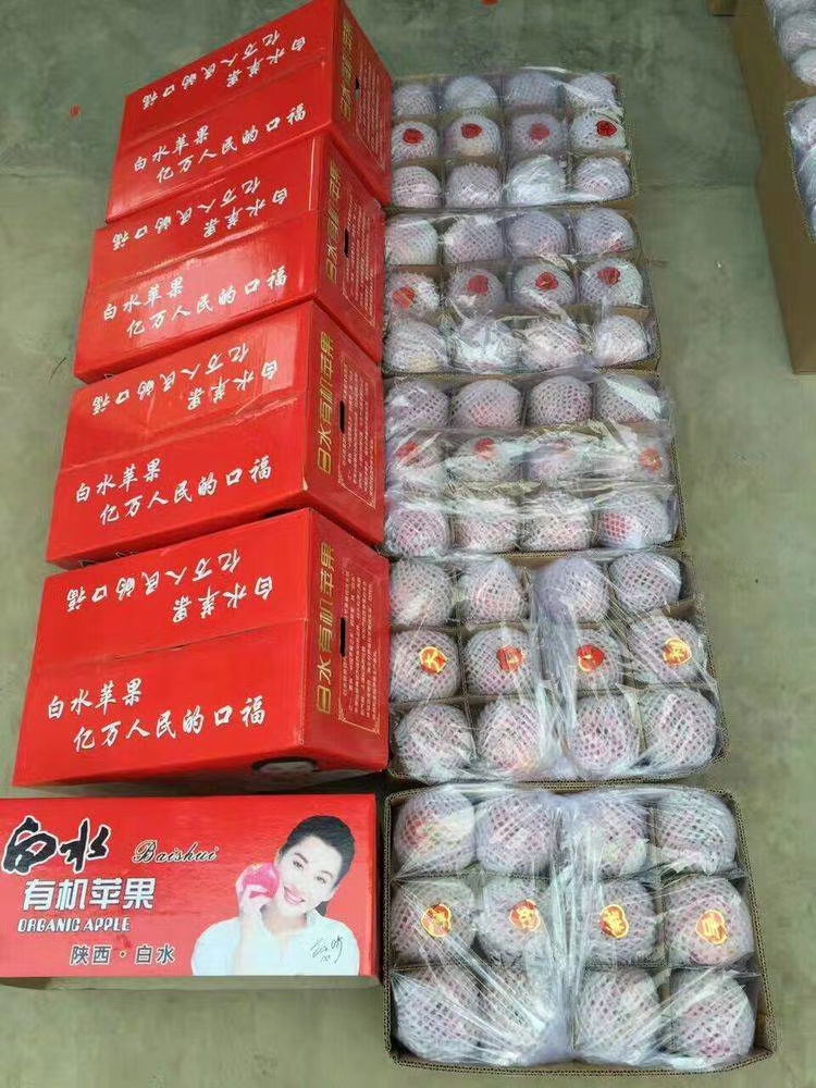 白水苹果  白水苹果