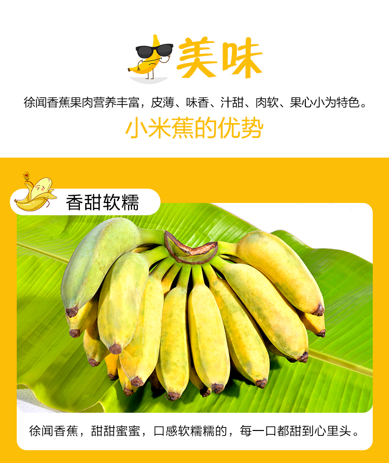  小米蕉