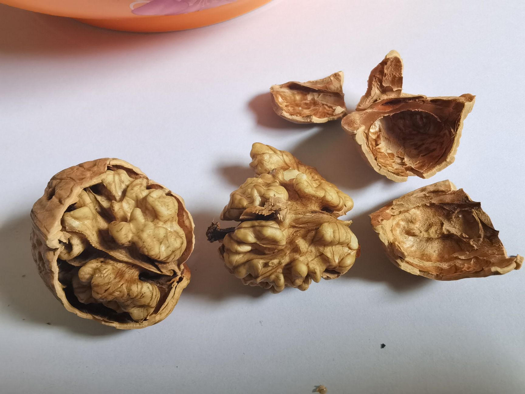 深山野生核桃山核桃，好吃又健脑，包邮送夹子