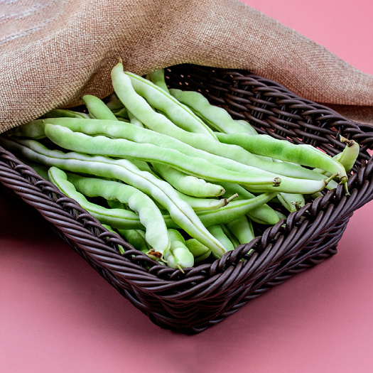 徐闻县无筋四季豆 徐闻 四季豆 芸豆