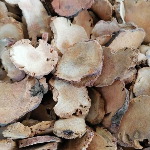 玉林土茯苓，干货