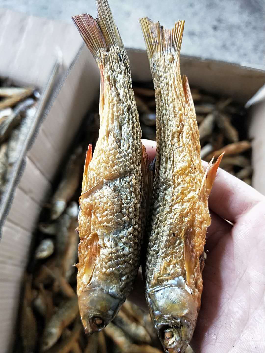 火焙东江鱼干红眼鱼淡水鱼产地直批