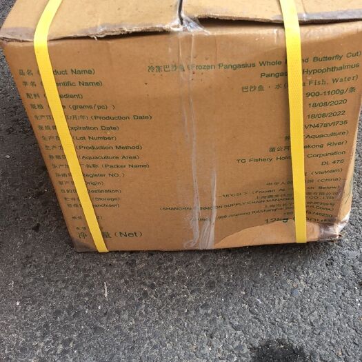 深圳巴沙鱼 